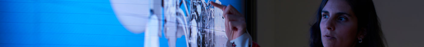 Bild zu Global Network Performance & Governance Manager (m/w/d)